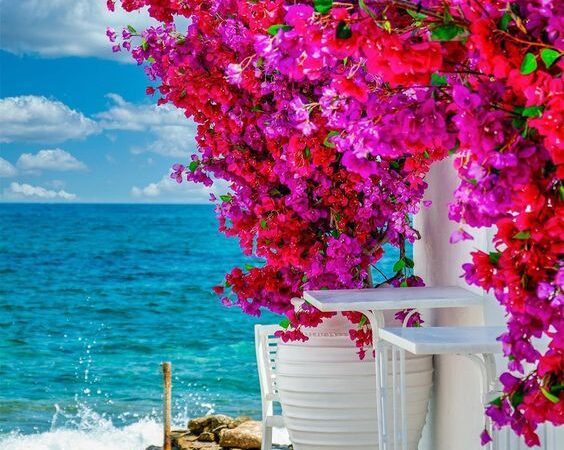 private boat tours in Mykonos